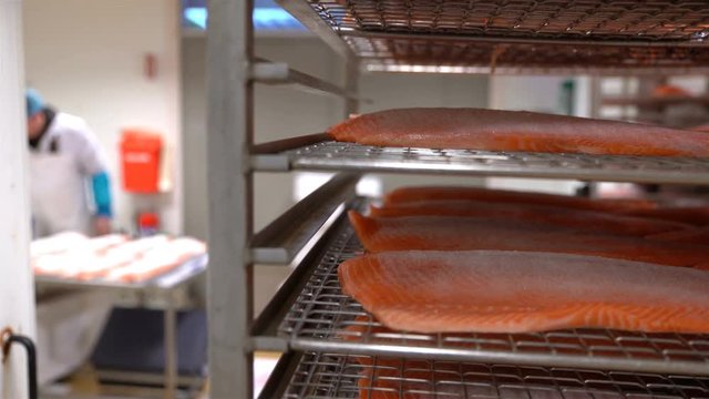 Many salmon fillets ready for smoking are on the shelves.