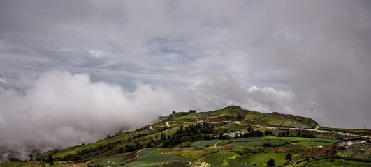 Foggy morning Phu tubberk National Park Phetchabun Province Asia Thailand,