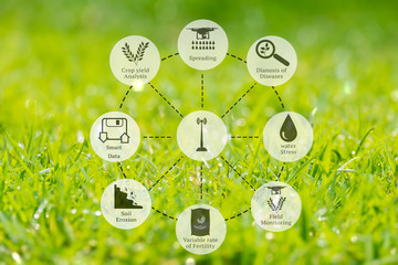 Precision Agriculture and Agritech concept. Sensor network in Agriculture technology network on abstract green field  background.