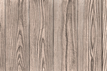 Wood texture, wood background for design with copy space for text or image. Wood motifs that occurs natural.