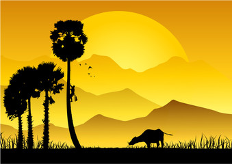 Silhouette of Asian farmer climbing sugar palm in the garden,on natural background 