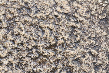 Stone texture, stone background for design with copy space for text or image. Stone motifs that occurs natural.
