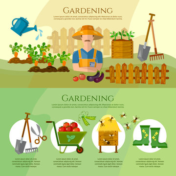 Gardening, growing vegetables, natural food farmer products