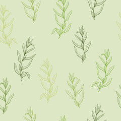 Tarragon herb graphic green sketch seamless pattern illustration vector