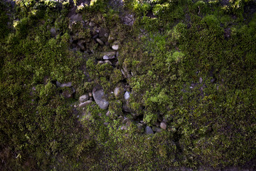 Old stone wall texture with moss on it