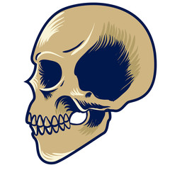 Hand drawn vintage skull head side view