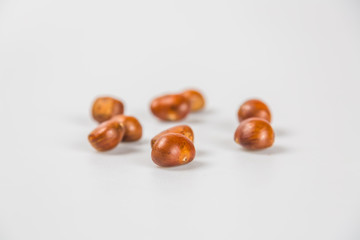 Close up of chestnut against white background.