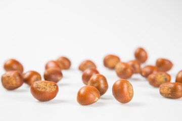 Close up of chestnut against white background.