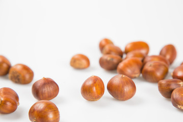 Close up of chestnut against white background.
