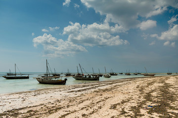 Fototapeta na wymiar landscape with fishing boats on the shore, Zanzibar