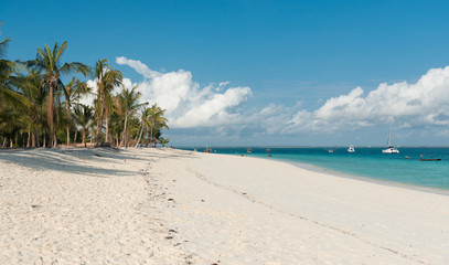 amazing african beach with palms and horizon on the background