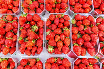 Strawberries for sale at a farmers market in Aix-en-Provence, France.