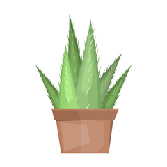 Cactus desert plant vector.