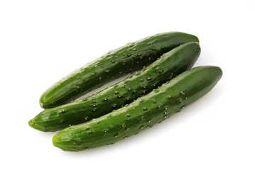 きゅうり　Cucumber