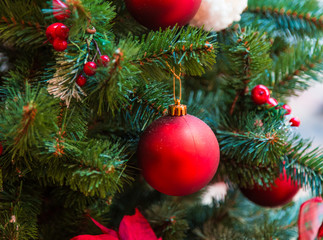 Christmas decorations on the branches of fir tree