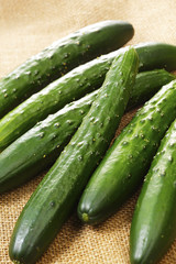 きゅうり　Cucumber