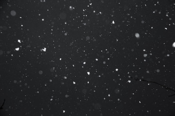 Falling snow on black background.