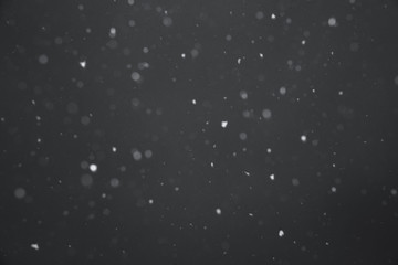 Fototapeta premium Falling snow on black background.