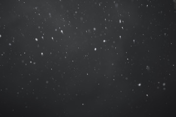 Obraz premium Falling snow on black background.