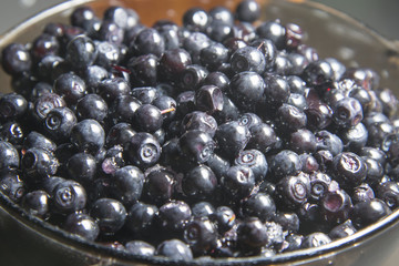 Wild forest berry blueberries is on the table.