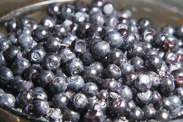 Wild forest berry blueberries is on the table.