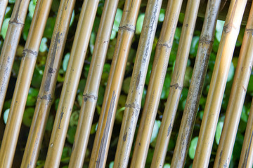 Bamboo tube for background