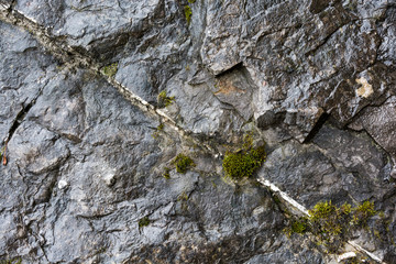 Texture rocks
