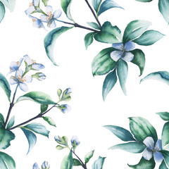 Background with branch of white Jasmine. Seamless pattern. watercolor illustration.