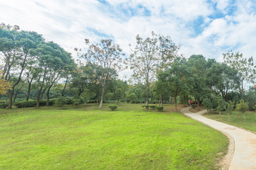 city park,autumn\winter natural scenery,china.