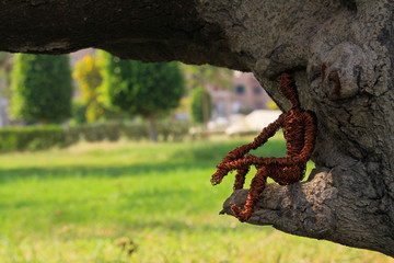 An escape from the noise and retrieve the past and think of the future better
