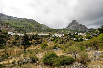 Fototapeta na wymiar Andalusien - Sierra de Grazalema - Grazalema