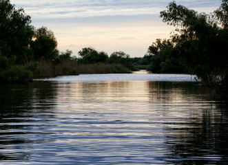 Evening light over one of the channels in the Danube Delta, Romania.