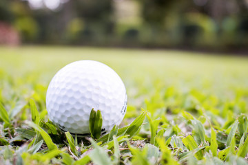 golf ball on grass