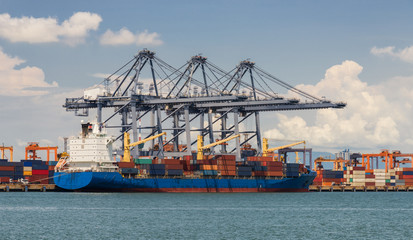 Cranes loading containers