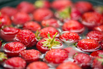Close-up view of strawberries in water. Fruit background