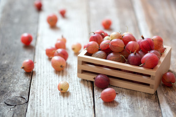 Close-up of pink gooseberries in wooden box