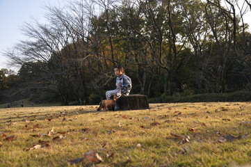 少女と犬　秋の公園　芝生 ミニチュアダックス　だっくすふん