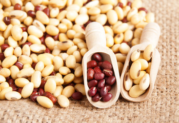 Soybeans and red beans high protein preparing for dessert