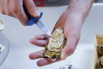 OUVERTURE DES HUITRES