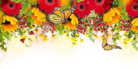 Amazing background with daisies and sunflowers. Yellow and red flowers on a white blank. Floral nature card. Flower and butterfly bokeh.