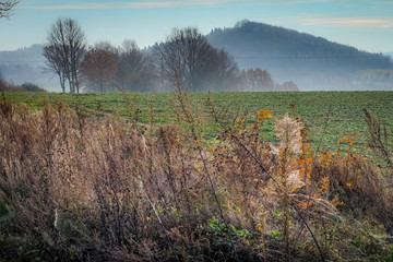 mountain roads collection © Grzegorz Matoryn