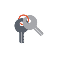 Vector icon illustration with two keys in material design style