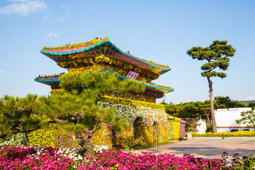 국화 축제장의 이모저모
