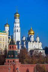 Fototapeta na wymiar Archangel Cathedral in the Kremlin, Moscow, Russia
