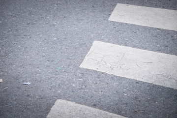 Fototapeta premium Nobody on Crosswalk on the street