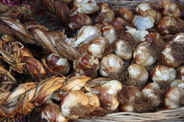 Ail en tresses au marché de Harlem, Pays-Bas