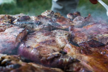 Obraz na płótnie Canvas Grilling meat on wood stove