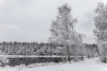 Obraz na płótnie Canvas White winter landscape lake in the forest