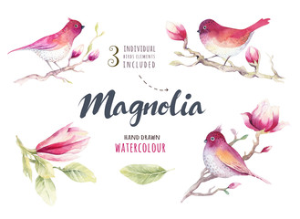 Naklejka premium Watercolor Painting Magnolia blossom flower and bird wallpaper d