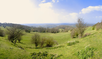 Obraz premium generic high resoltion image of a footpath in typical english co